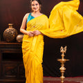 Mul Chanderi Silk saree hand embroidered with sequence work